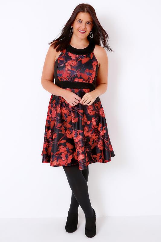 Black & Red Poppy Print Skater Dress Plus Size 16 to 32