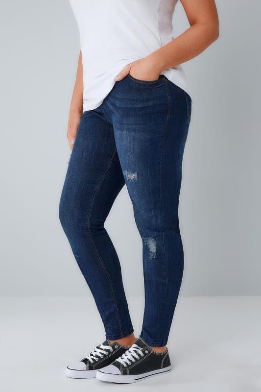 indigo rose clothing plus size