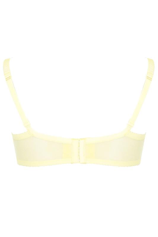 Yellow lemon mesh and eyelash lace bra 24