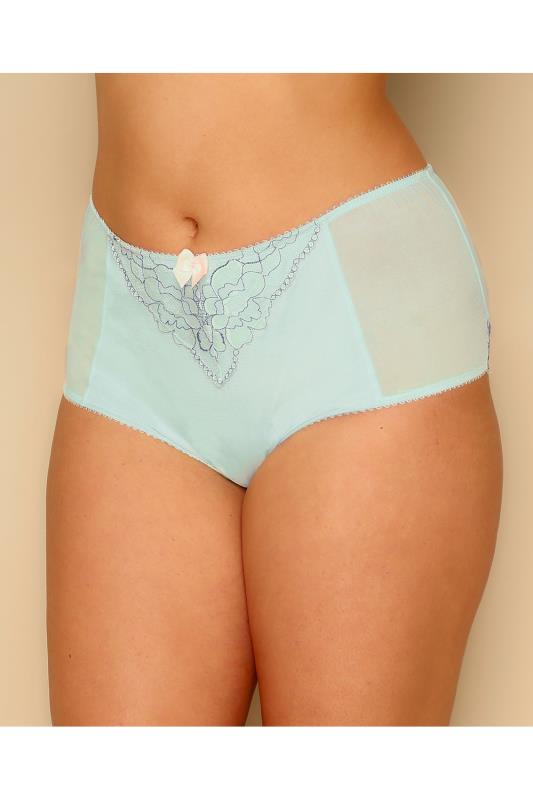 Mint Green And Blue Two Tone Mesh Brief With Floral Lace