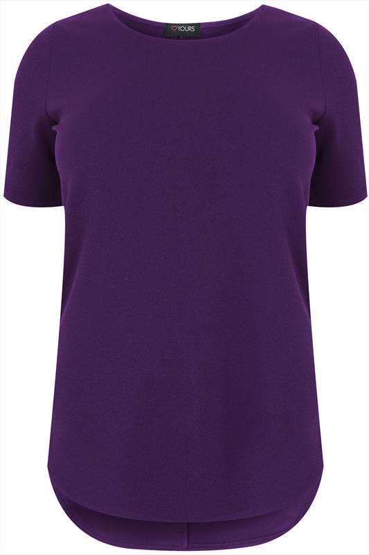 Purple Short Sleeve Textured Top With Dip Back Hem