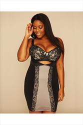 Black Lace Detail TUMMY CONTROL Band Plus Size 16 to 30